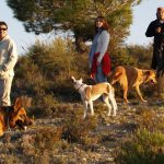 Una Tarde en el Campo